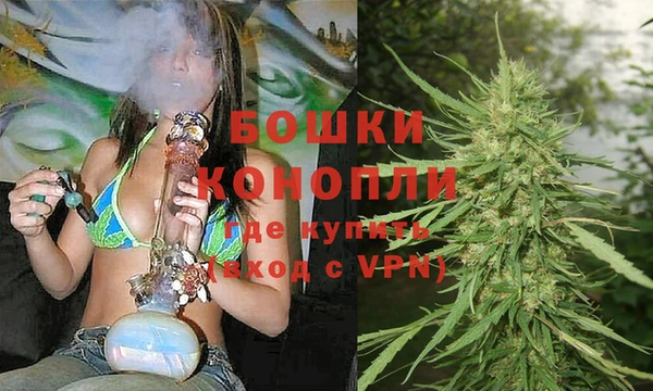 кокс Елизово