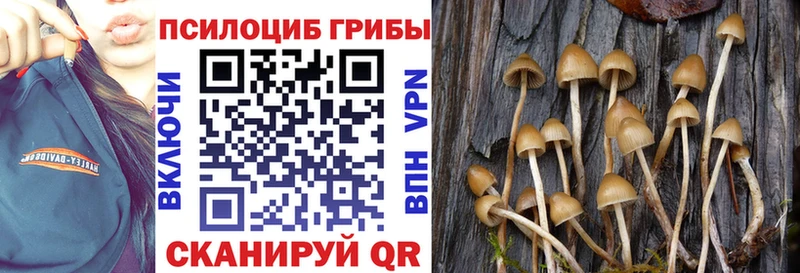 мориарти формула  где можно купить наркотик  Южно-Сухокумск  Галлюциногенные грибы Psilocybe 